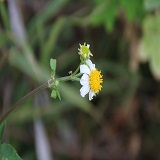 Image 01